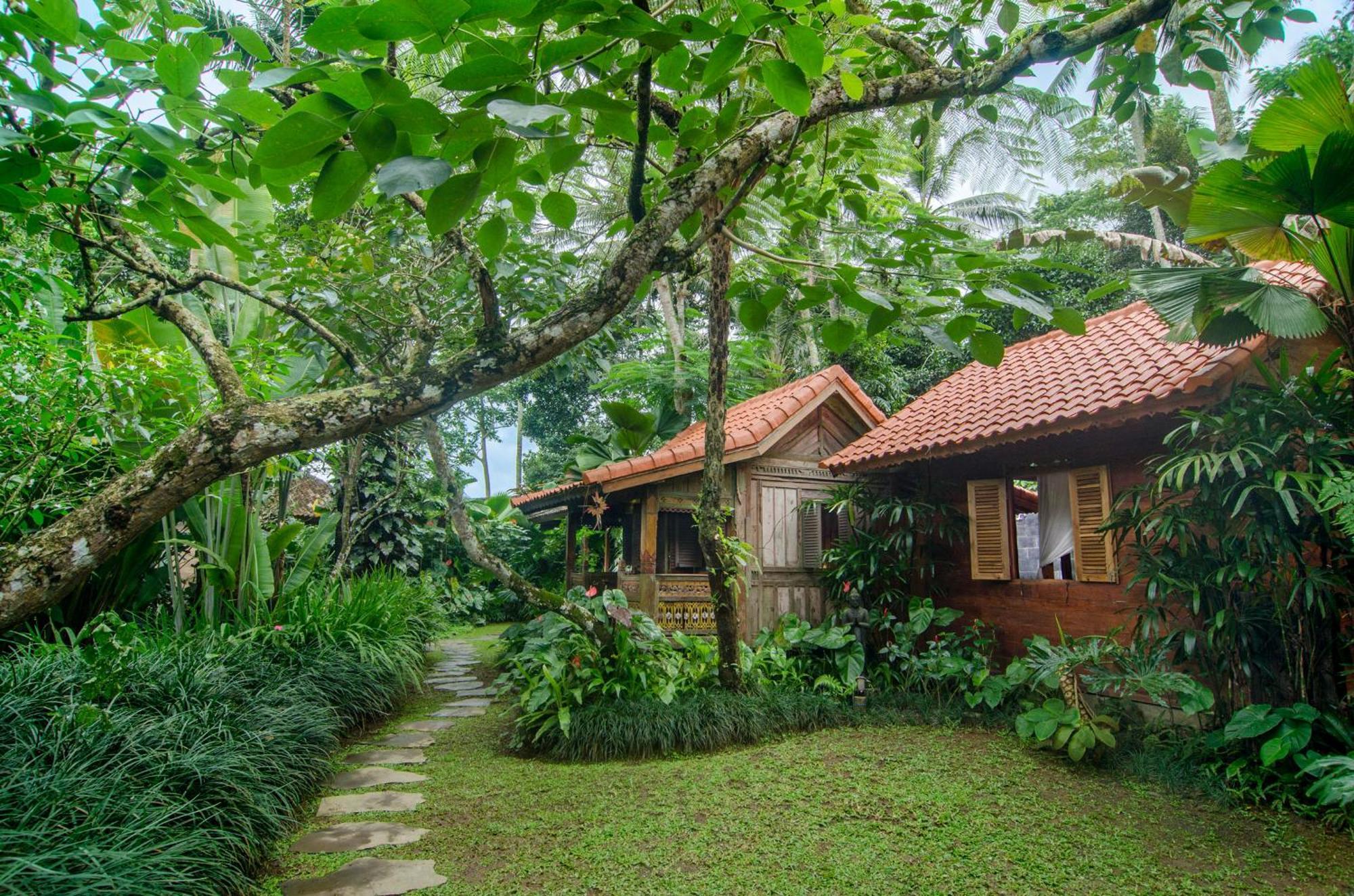 Dewi Tara Haven Bed and Breakfast Payangan Camera foto
