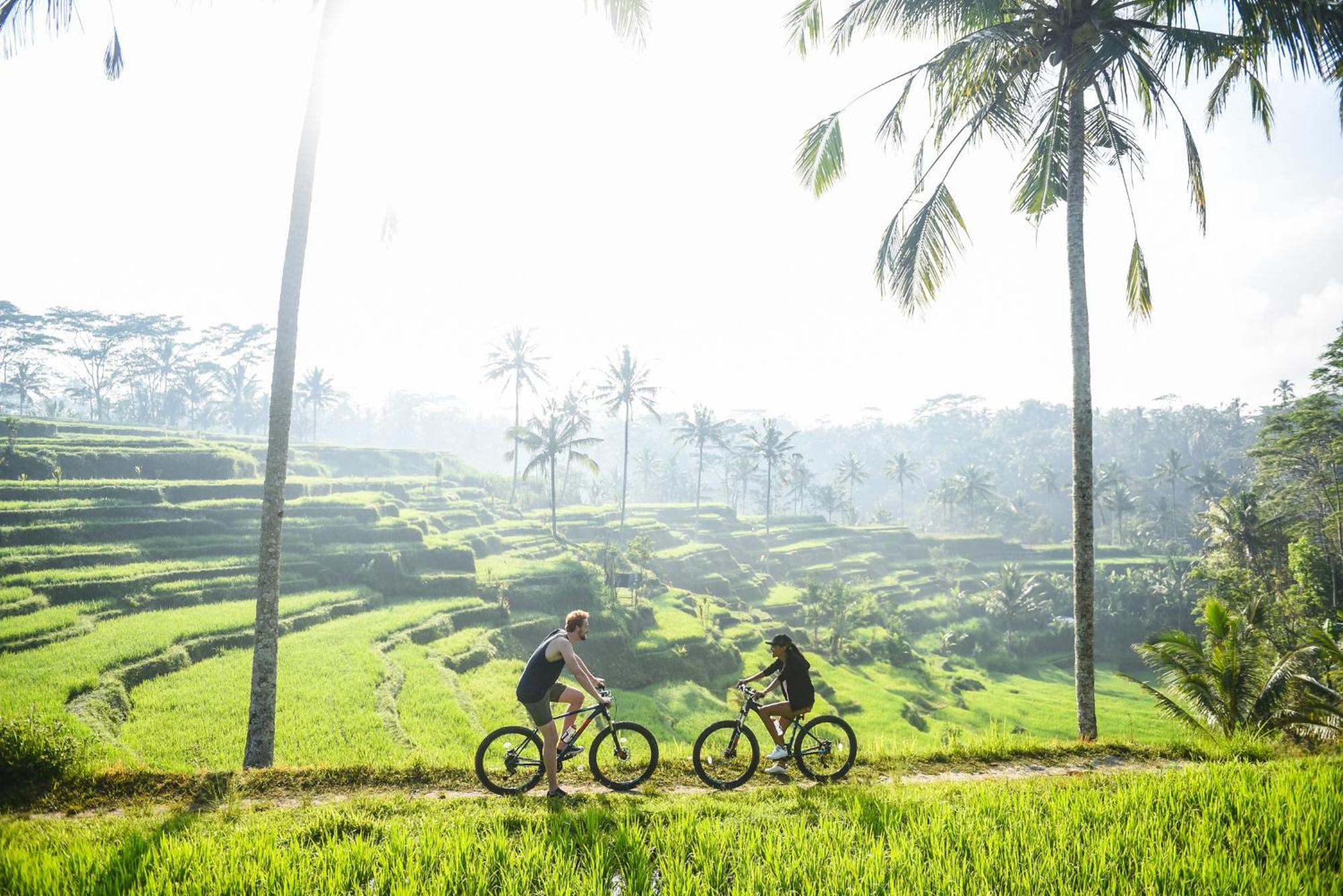 Dewi Tara Haven Bed and Breakfast Payangan Camera foto