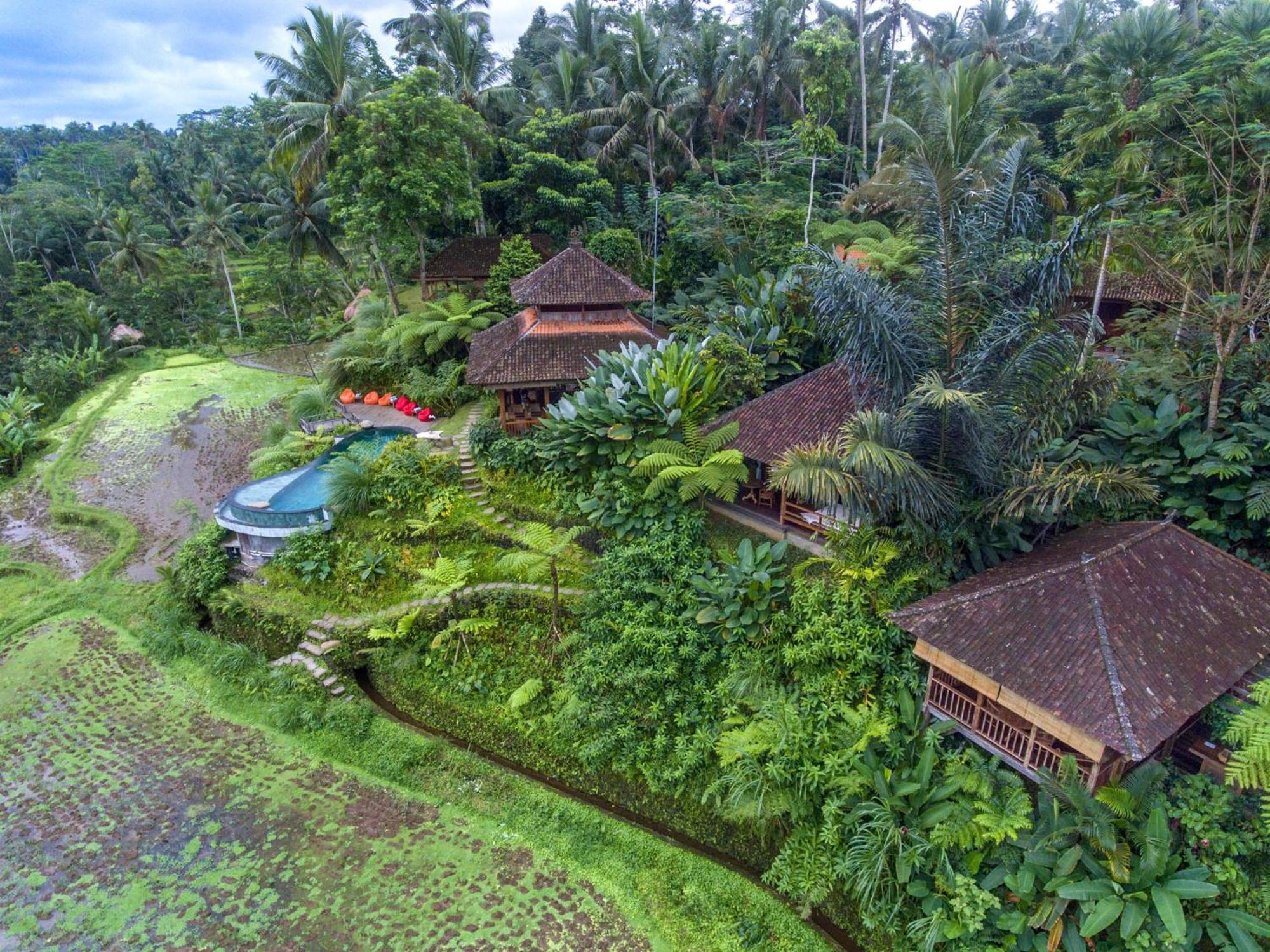 Dewi Tara Haven Bed and Breakfast Payangan Camera foto
