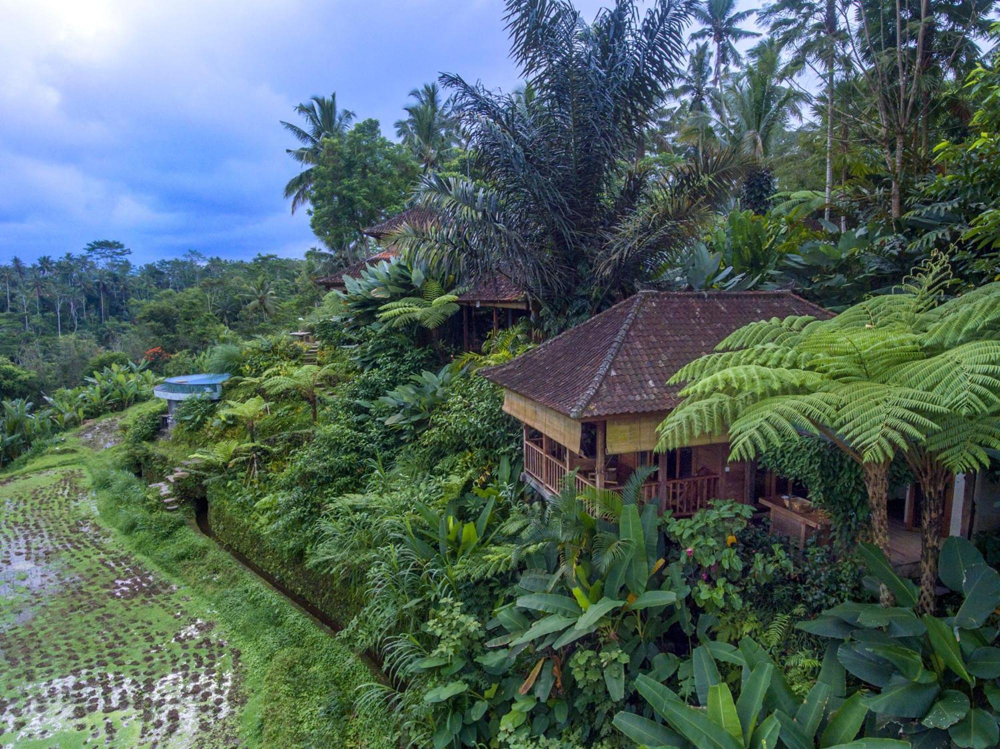 Dewi Tara Haven Bed and Breakfast Payangan Camera foto