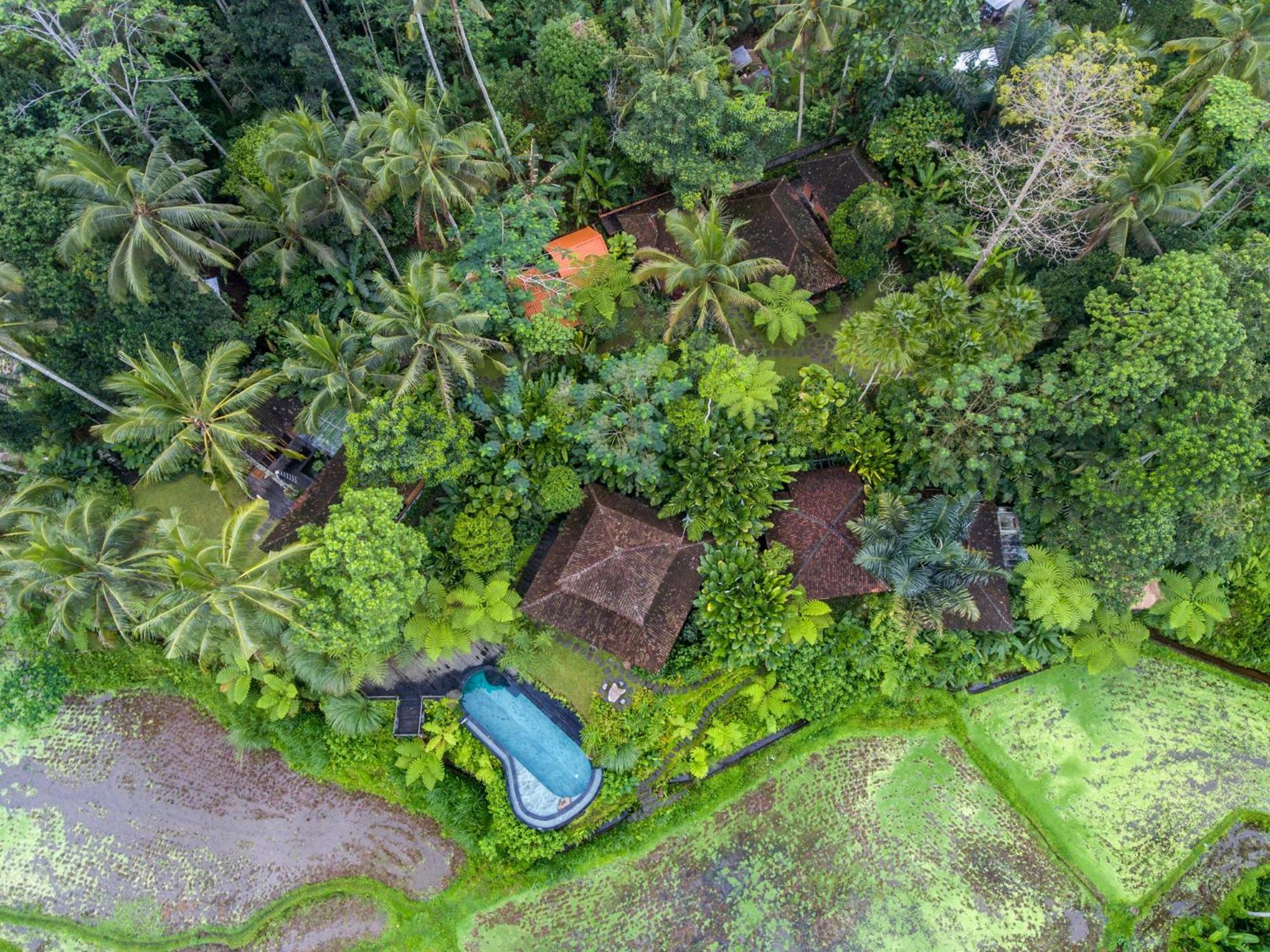 Dewi Tara Haven Bed and Breakfast Payangan Camera foto