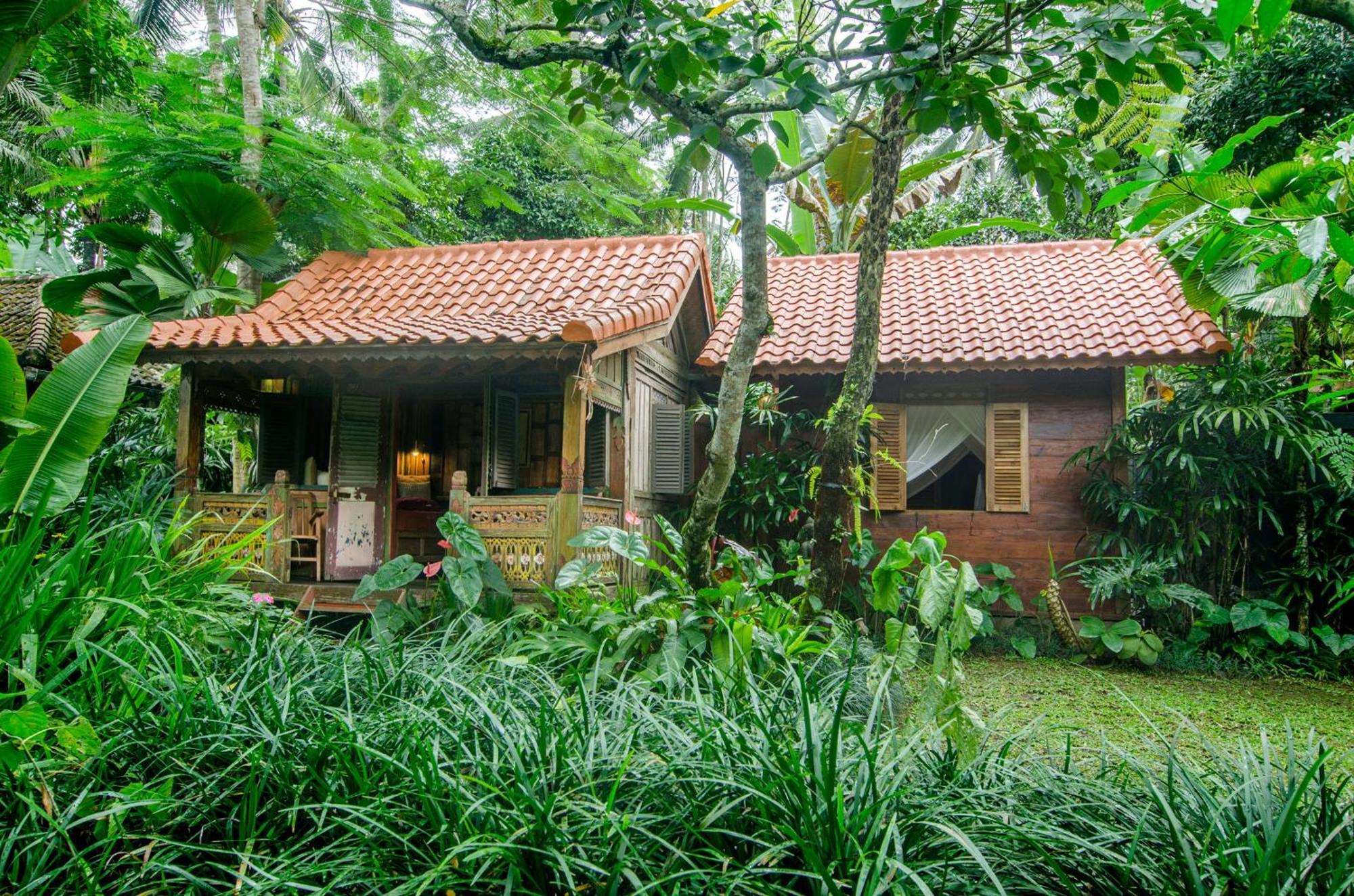 Dewi Tara Haven Bed and Breakfast Payangan Camera foto